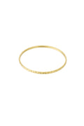 Shiny bangle