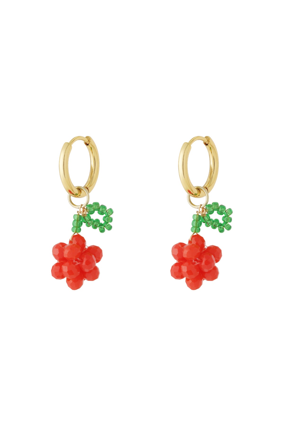 Stainless Steel Drop Earrings Plant Casual Daily  Women's jewelry