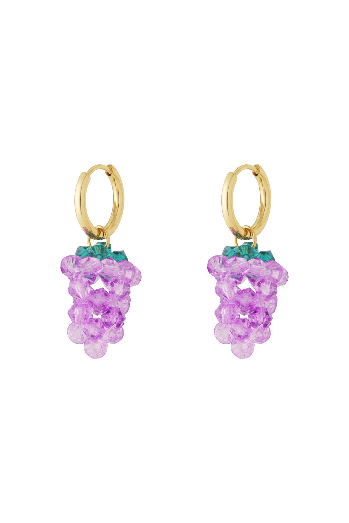 Stainless Steel Drop Earrings Plant Casual Daily Simple Series Women's jewelry