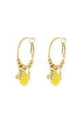Lemon with cherry Earrings