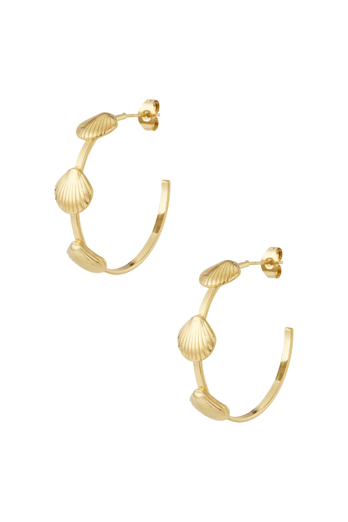 Shell hoop Earrings