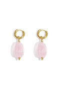 Earrings with organic beads