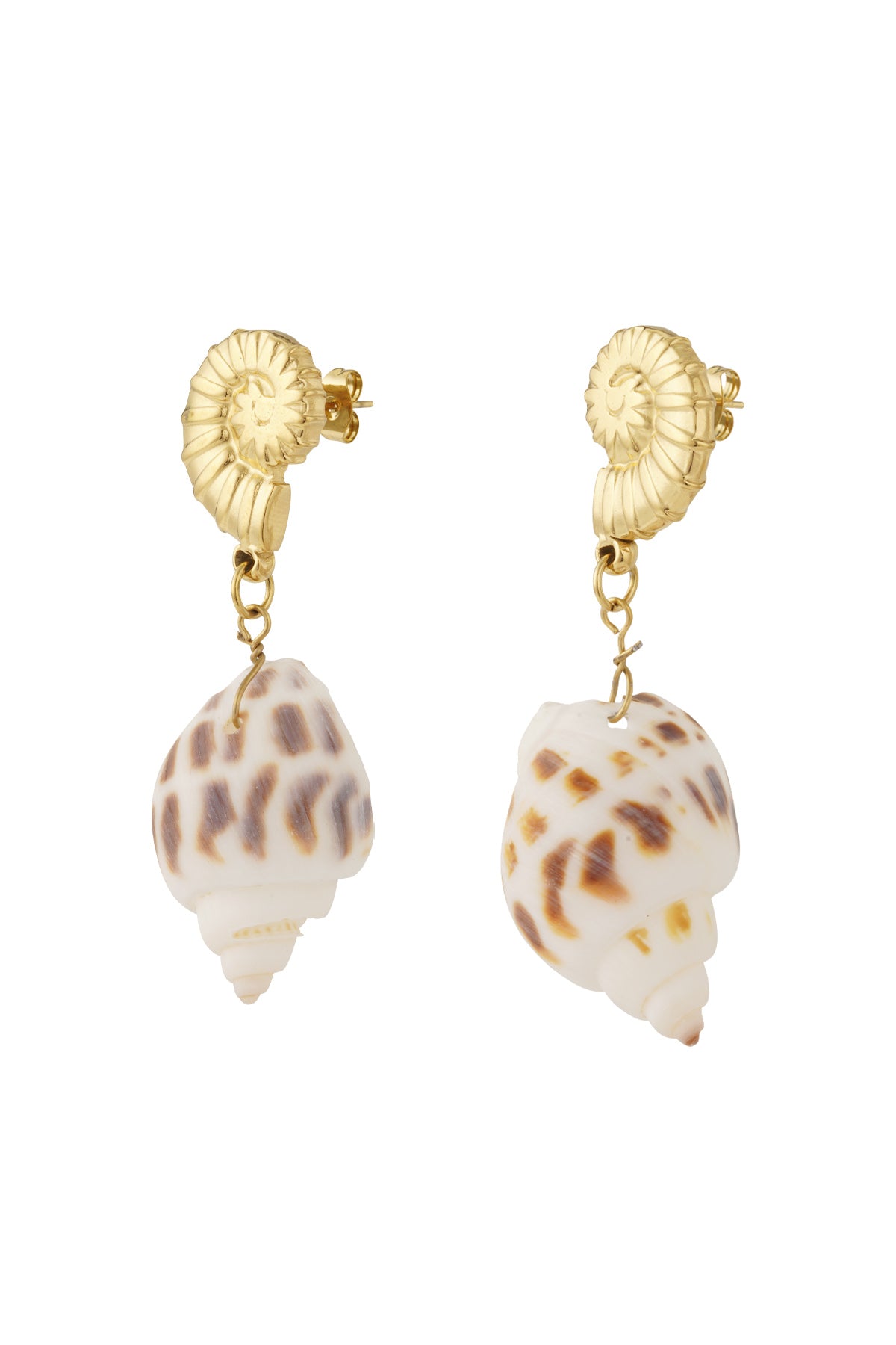 Seashell Elegance Earrings