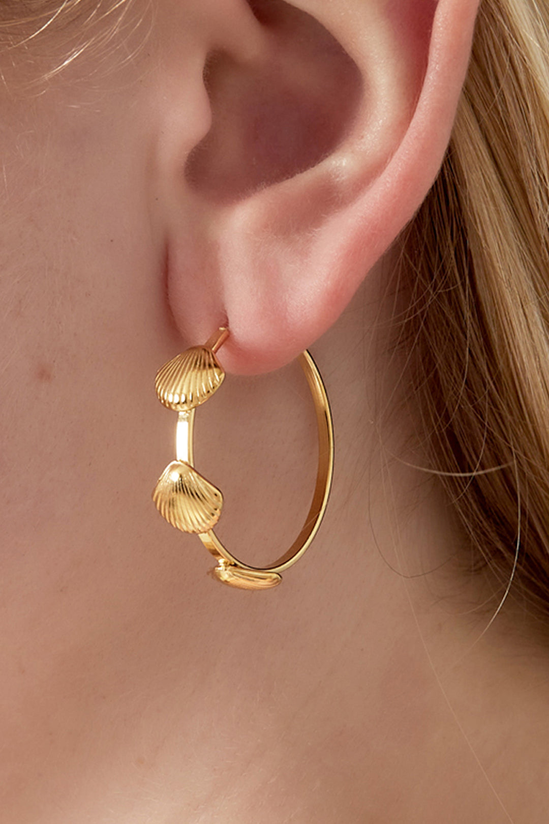 Shell hoop Earrings