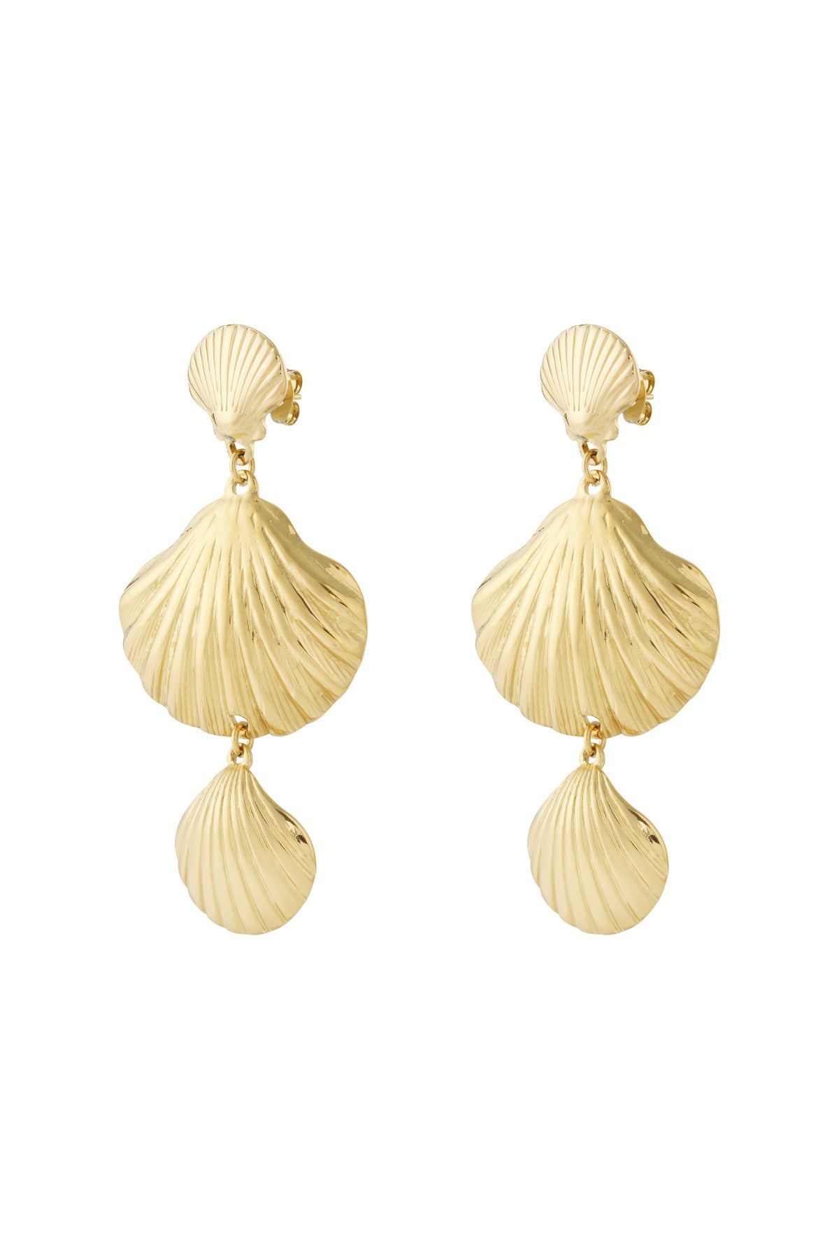 Trio shell Earrings